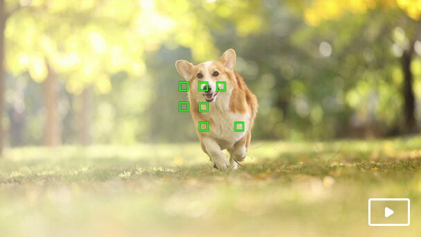 28-75mm F/2.8 Di III VXD G2の優秀なAF性能