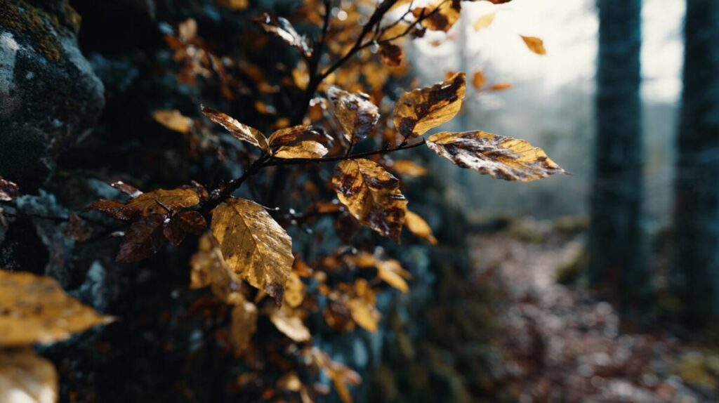 Snapshots taken with the Hasselblad X2D II 100C