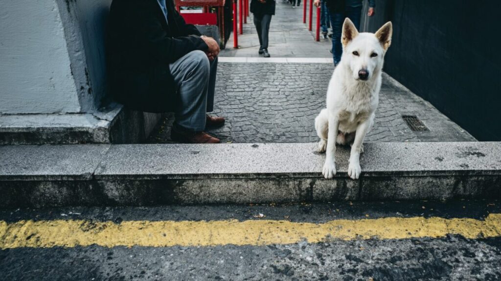 Photos taken with the RICOH GR IV